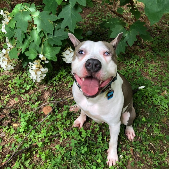 Meet your Posher, Erika - Picture 7 of 8